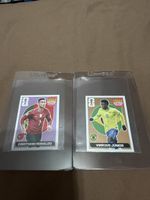 2 Extra Sticker, Vinicius Bronze + Ronaldo Violet
