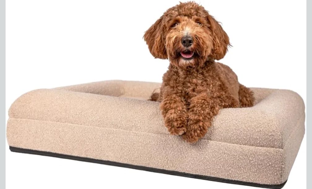 Cucce & Letti: NEW memory foam dog bed beige boucle fabric – Nuovo (secondo la descrizione) da Wilen b. Wollerau venduto da Amessa