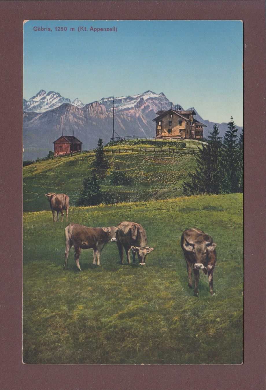 Ansichtskarten: GÄBRIS - Kühe - 1919 – Gebraucht aus Pully von nicecards