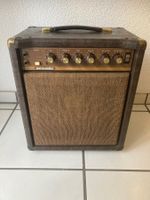 Acoustic G20-110 Combo Amplifier Verstärker