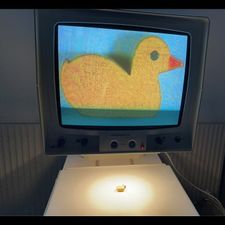 Profile image of Tinus3418