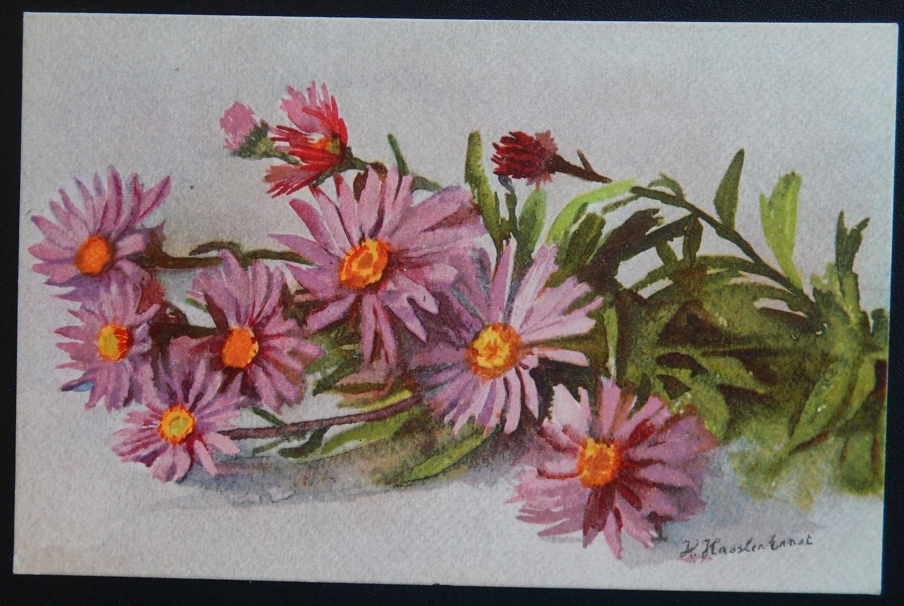 Ansichtskarten: Ansichtskarte Blume Alpenaster 1914 – Neu (gemäss Beschreibung) aus Zürich von Muehlekauf 1