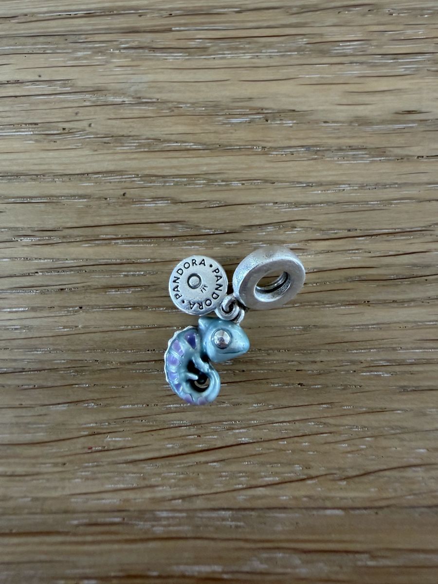 Pandora Ciondoli: Pandora Charms – Usato da Schaffhausen venduto da andrea_monica 1