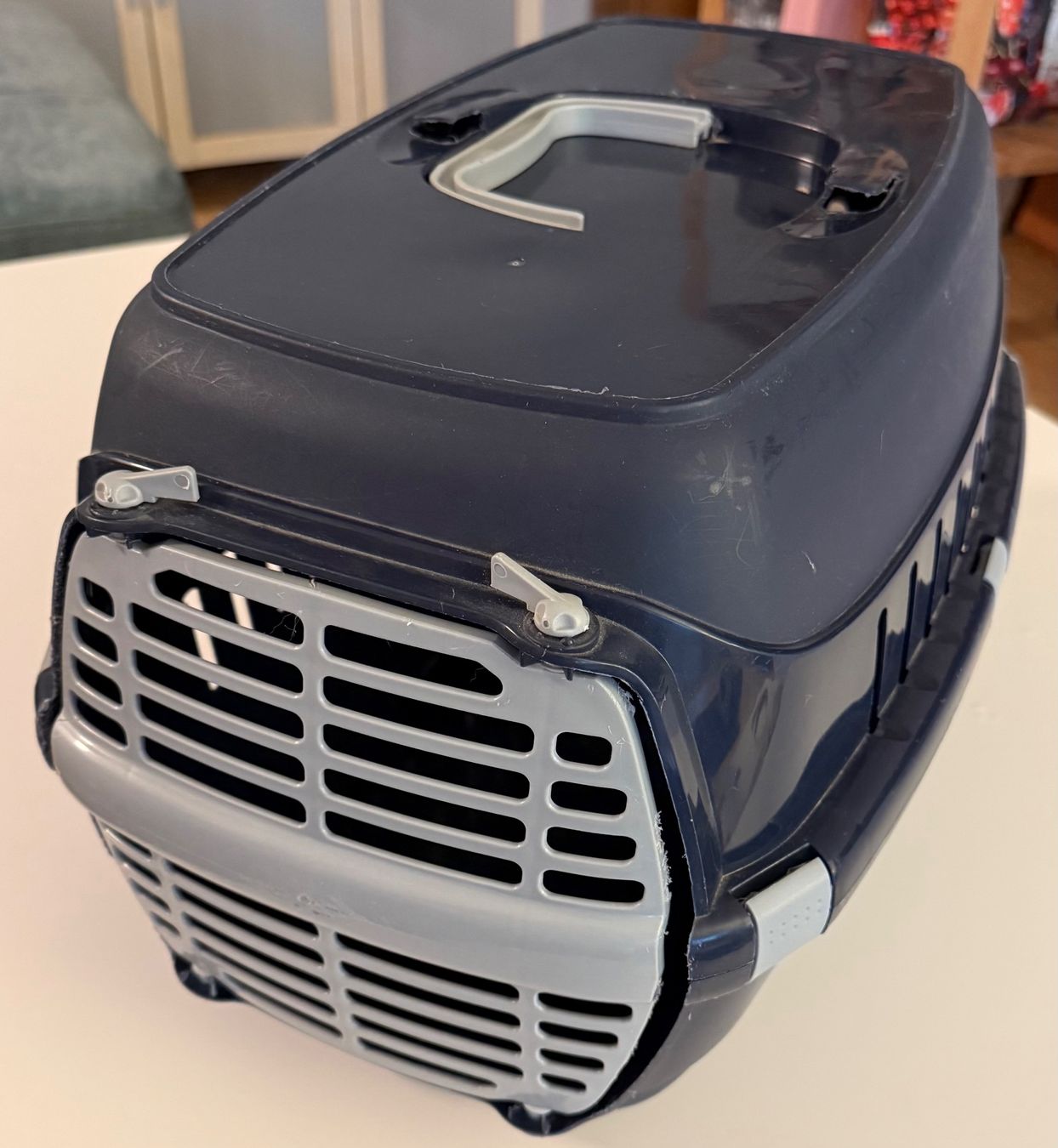 Cages, transport & sécurité: Transportbox – D'occasion à Olten par jsc_trq6