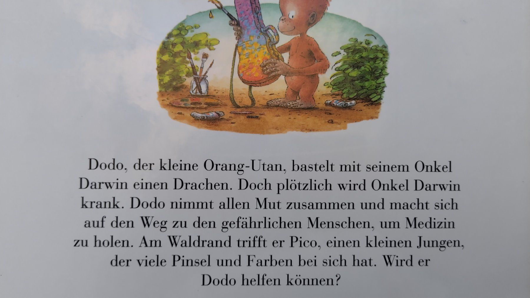 Libri: Kleiner Dodo lass den Drachen fliegen / Bilderbuch Affe – Usato da Bellach venduto da JingleJerry 8