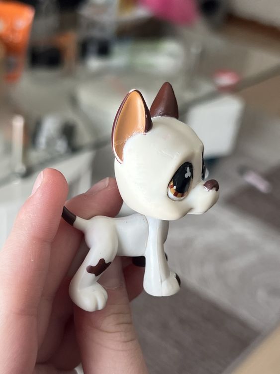 Littlest pet shop great dane #577 | Kaufen auf Ricardo