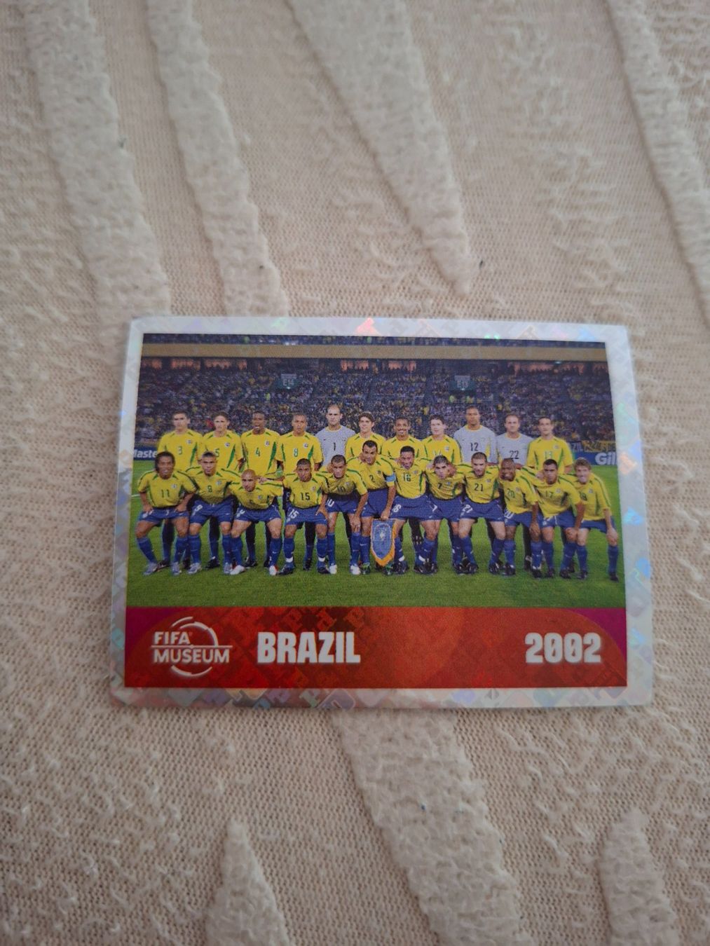 Panini Carte collezionabili: Panini FWC 16 (Silber) – Usato da Bern venduto da rum9