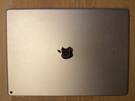 iPad Pro 12,9” 1.Gen  – 128 GB – WLAN – voll funktionsfähig