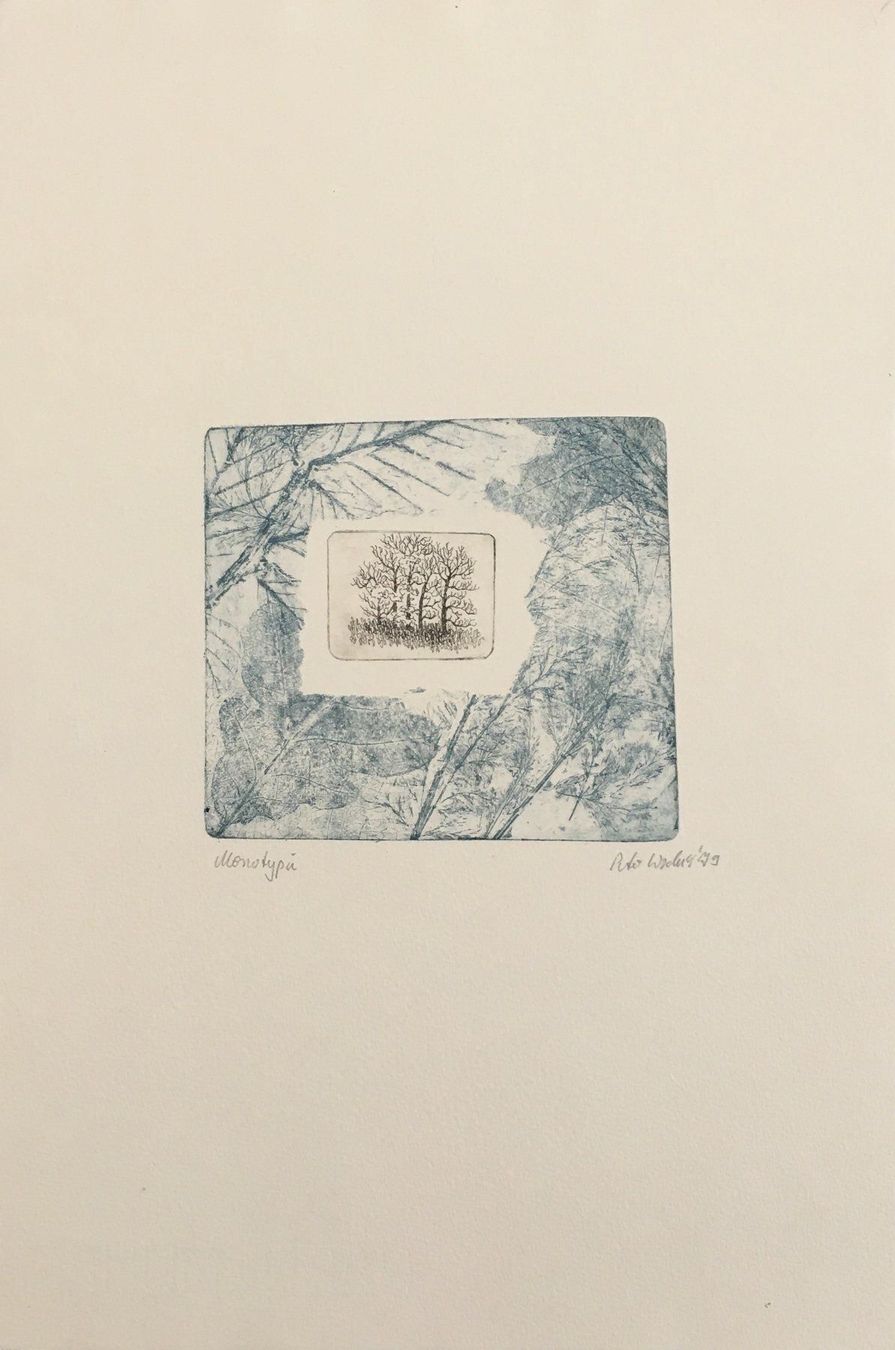 Grafica & Litografie: Peter Wodak     "Baum"   MONOTYPIE – Usato da Nennigkofen venduto da juhit
