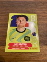 Panini Aus 4