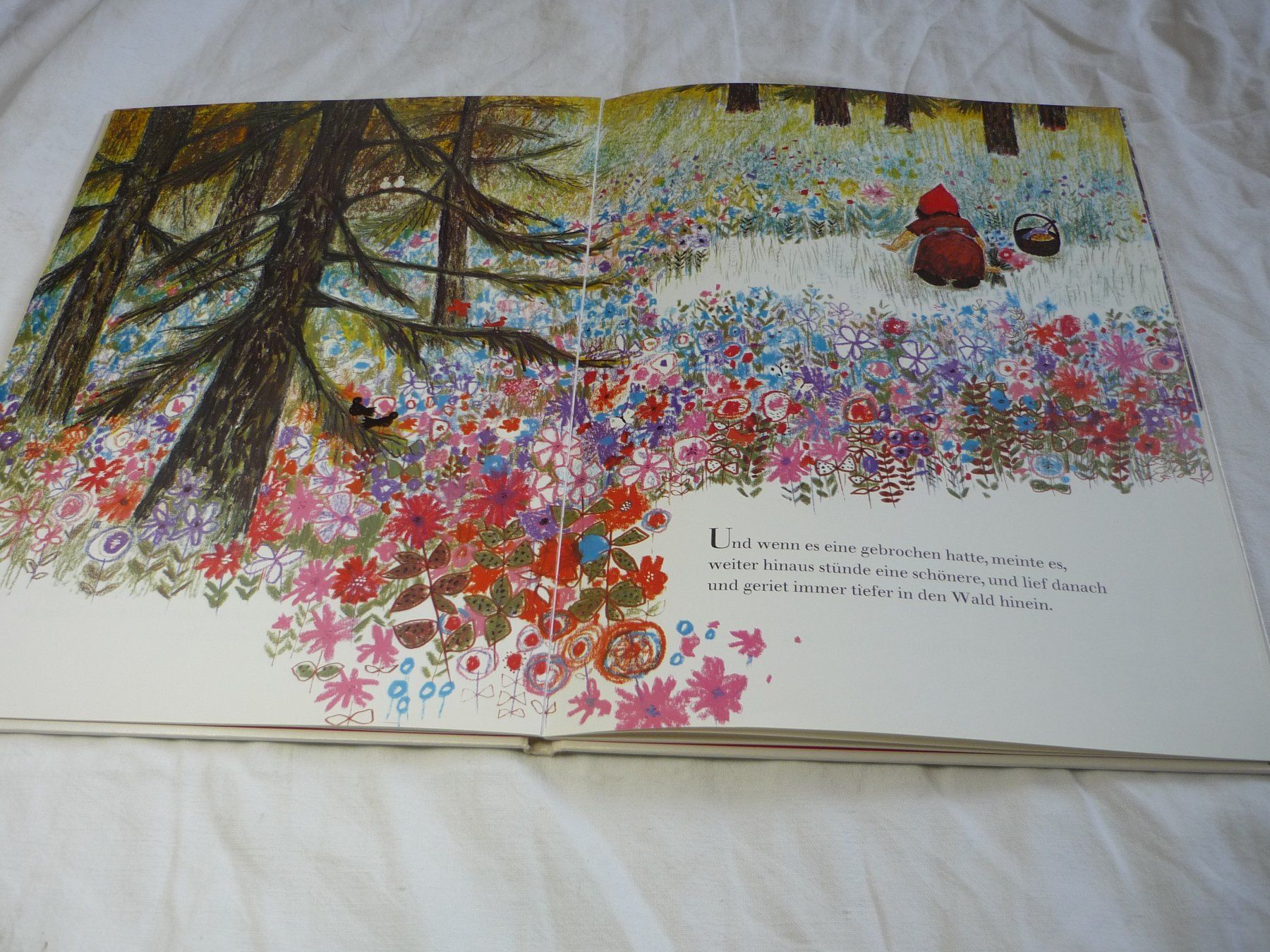 Libri: Kinderbuch - Rotkäppchen - Bernadette Nord Süd – Usato da Beringen venduto da Flatretriever 1