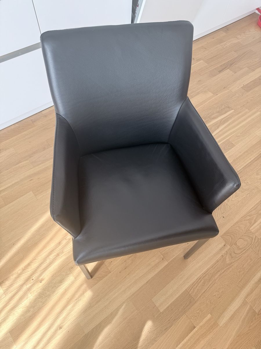 Pfister Sedie: Lederstühle von Pfister – Nuovo (secondo la descrizione) da Geneve venduto da kavi0306 1