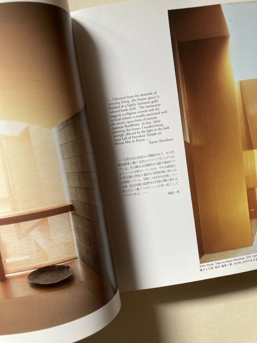 Libri: Architektur Buch: Light in Japanese Architecture – Usato da Zürich venduto da 000rk 2