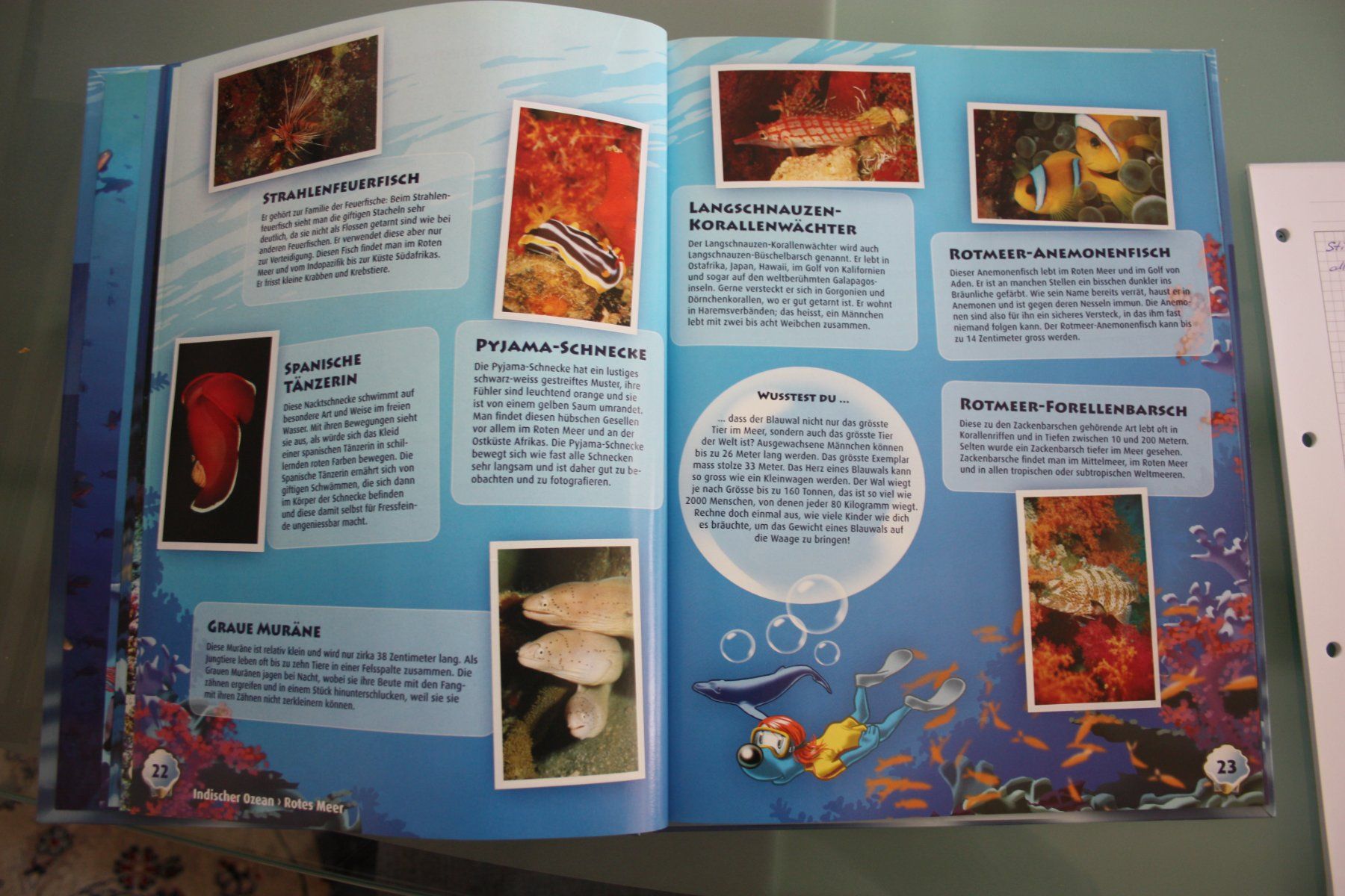 Migros Album: Stickeralbum Ocean-Mania – Usato da Oberwil BL venduto da Hesa41 1