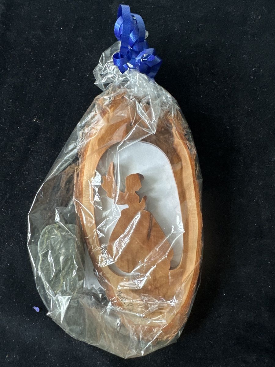 Foto & Immagini: Holzbild Elch, einzigartig, Alaska 2019 mit Bluebell – Usato da Zürich venduto da Chaeffeler