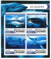 Block "Wale". Guinea.