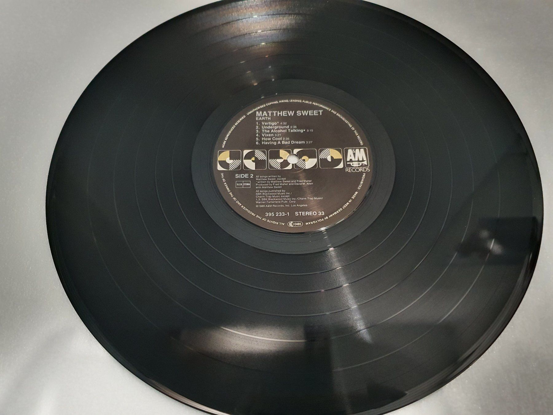 Dischi in vinile: Matthew Sweet – Earth – Usato da Uster venduto da Vinyl-Leidenschaft 4