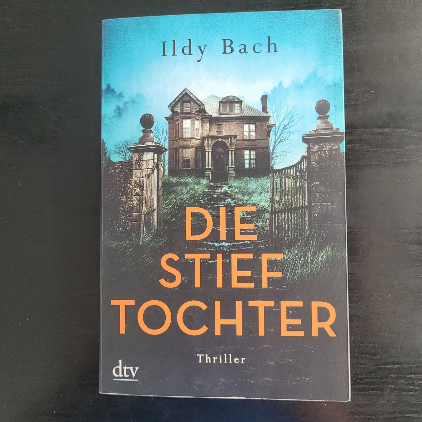 Libri: Ildy Bach - Die Stieftochter – Nuovo (secondo la descrizione) da SCHÜBELBACH venduto da CoKaHa