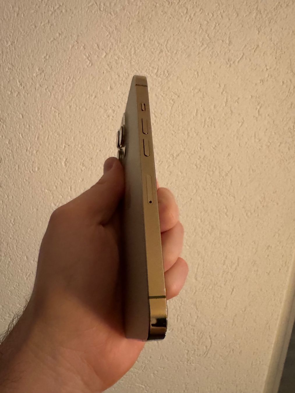 Apple Telefoni cellulari / Smartphones: Apple iPhone 13 Pro Gold - 128 GB – Usato da Eschenbach SG venduto da Patrick.original 2