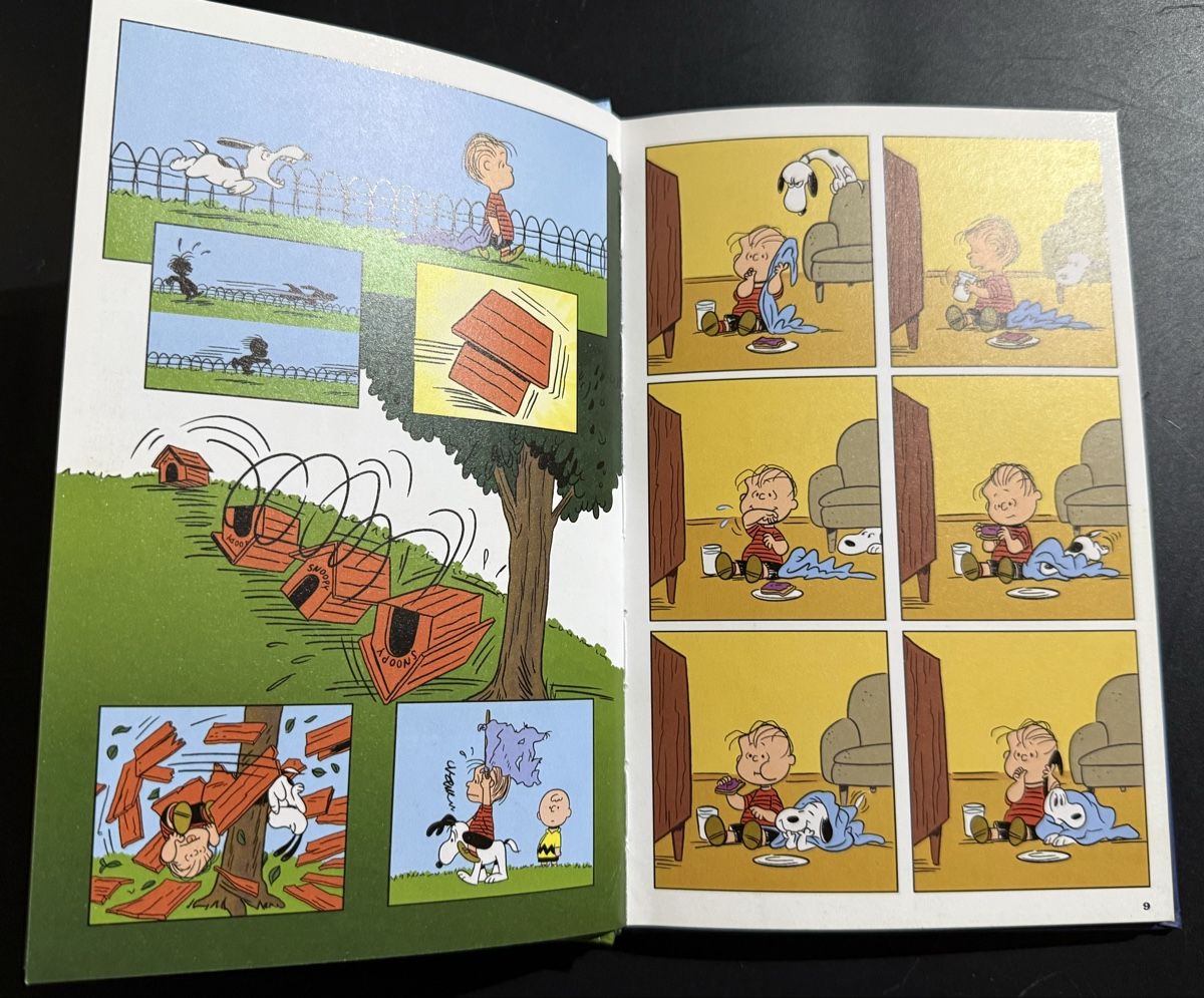 Fumetti: Comic Die Peanuts Das Glück ist eine Schmusedecke – Usato da Thalwil venduto da MB-7 5