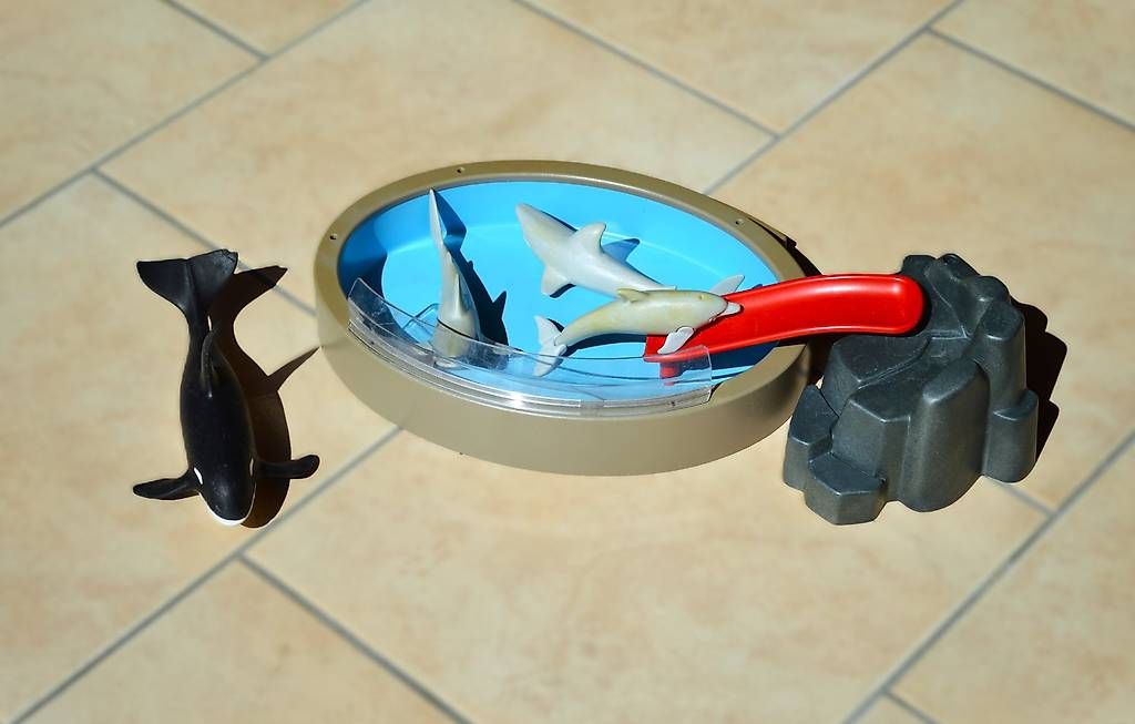 Playmobil Giocattoli: Playmobil Delfin Becken – Usato da Wolhusen venduto da Donbrain