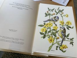 Original Kunstmappe „Blaumeisenpaar“ – Anne Marie Trechslin