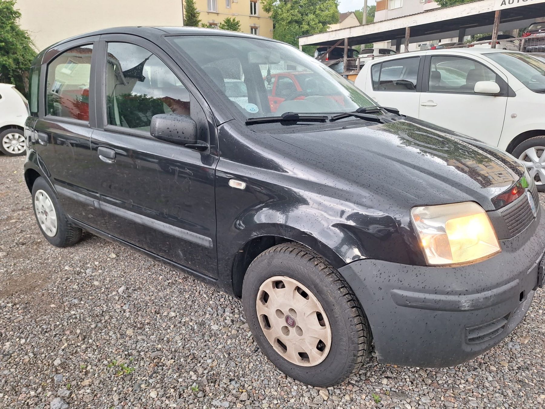 Fiat Automobili: Fiat Panda 1.1 – Usato da St. Gallen venduto da Pro-Autos 2