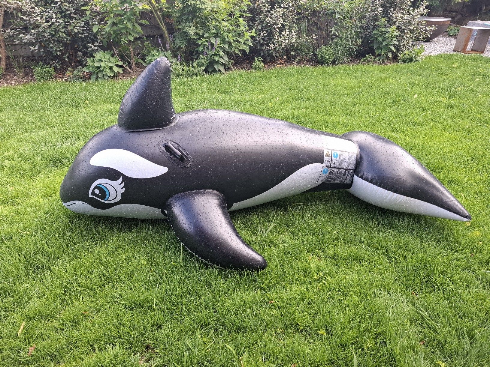 Salvagente: Orca, aufblasbares Schwimmtier, Intex – Usato da Wil SG venduto da cro_27r5 2