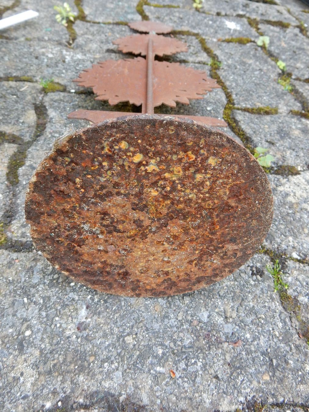 Statuette: spezielle Gartendekoration Rost Topiary Formschnitt Buchs – Nuovo (secondo la descrizione) da Jona venduto da simongarden 5