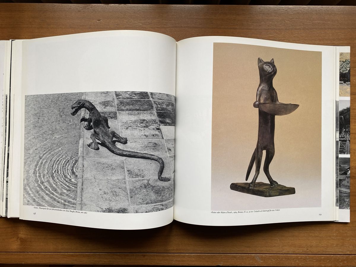 Libri: Das Bergell Heimat der Giacometti – Usato da Zürich venduto da ann_9fv5 6