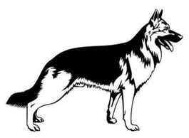 Auto Aufkleber 116 –Schäferhund–13,8x20