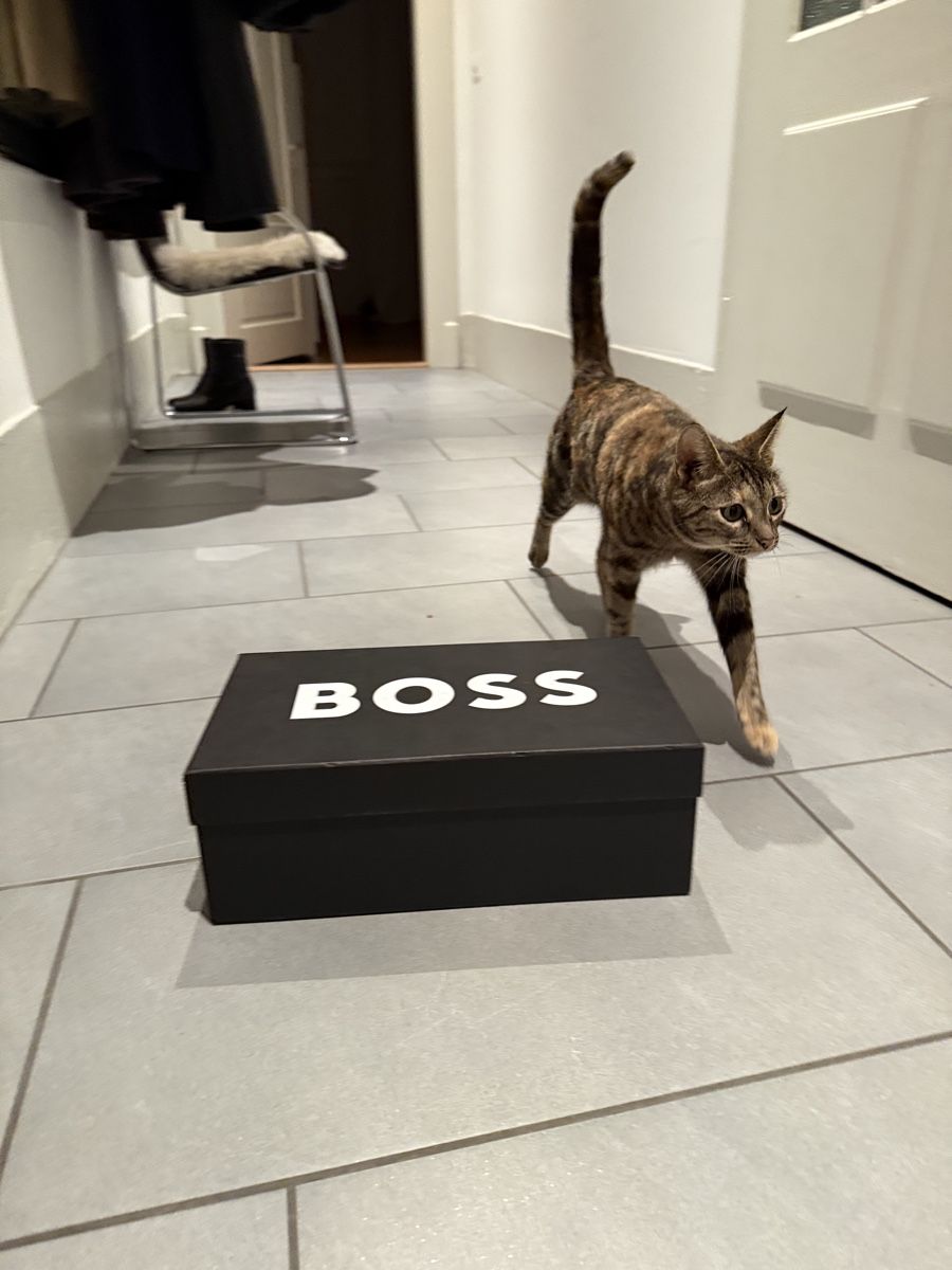Scarpe da uomo: loafers Hugo Boss Richayl – Usato da Thun venduto da haaskin 7