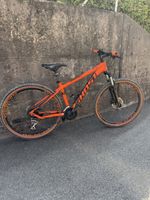 MTB 