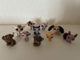 Pet Shop lot
