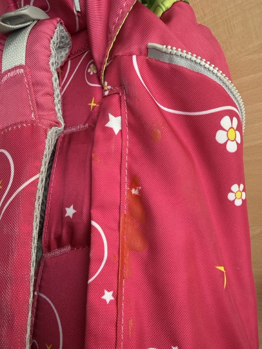 Ergobag Borse & Zaini: Ergobag Schulthek Set Prinzessin, inklusive Turnrucksack – Usato da Ufhusen venduto da yuyu75 6