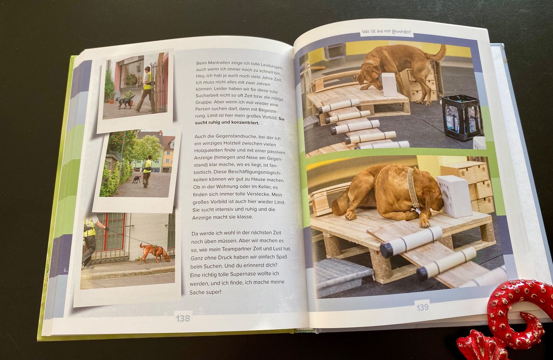 Libri: RAMBAZAMBA MIT LABBI MAMBA – Usato da Nussbaumen AG venduto da schuba2000 5