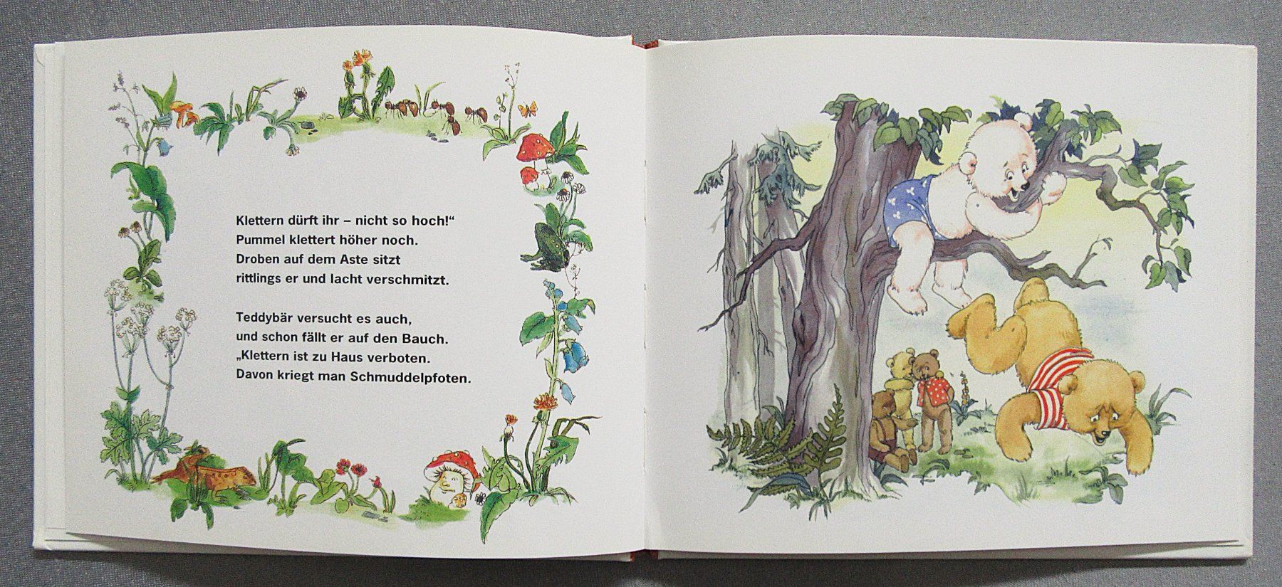 Libri: Teddy und sein Bruder - kleines Bilderbuch – Usato da Auenstein venduto da Padabimbim 3