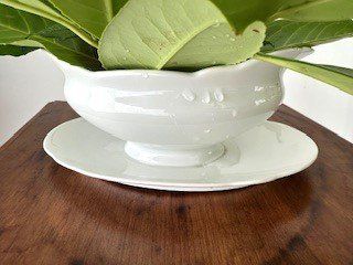 Pots de fleurs: bEpfLanZte SauCieRe – Neuf avec emballage d'origine à Winkel par zeho 3