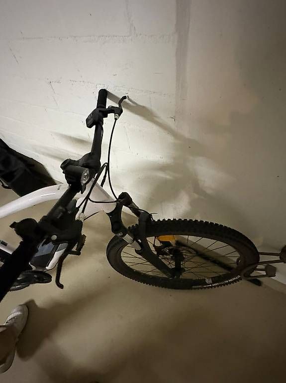 Vélos: E-Mountainbike – D'occasion à Ennetbürgen par bie_lkb5 3