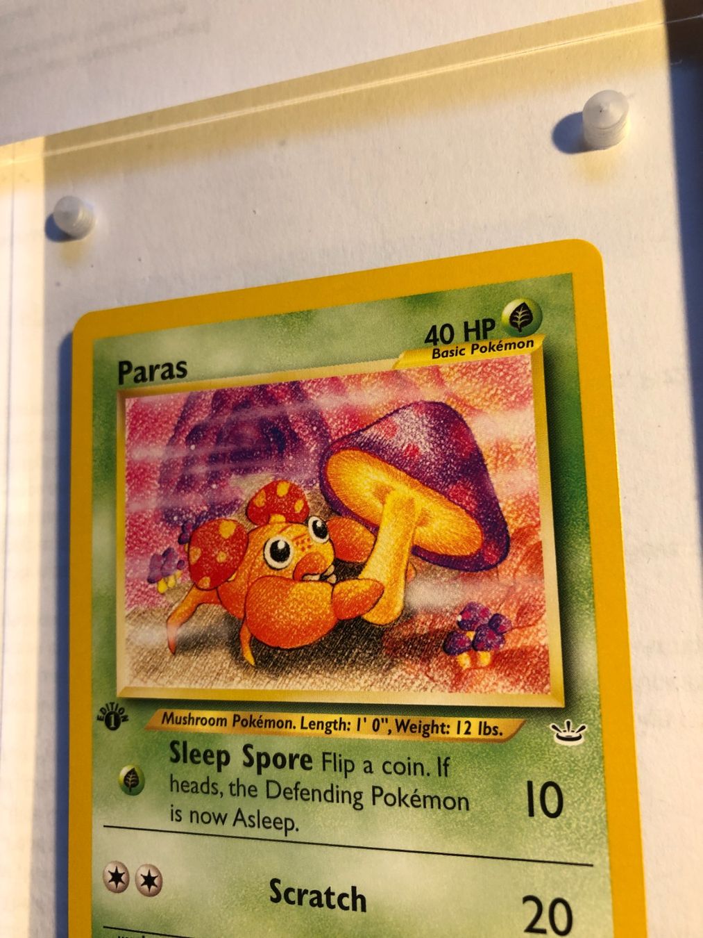 Carte collezionabili: Paras 1st Neo Revelation - MINT - ab 1.- – Usato da Giubiasco venduto da dan_pr8b 3
