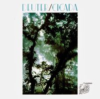 Deuter / Cicada (1986) new age CD