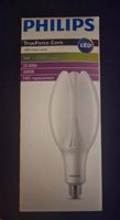 Philips TrueForce Core LED 42W | 5000 lm | 3000K (E27)