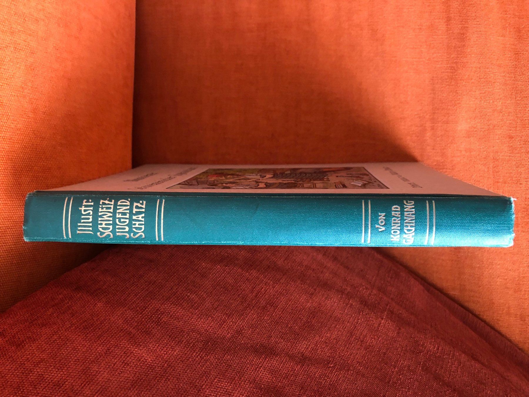 Libri: antikes Kinderbuch, schweizer Jugendschatz ca. 1930 – Usato da Buchs ZH venduto da krenzi 9