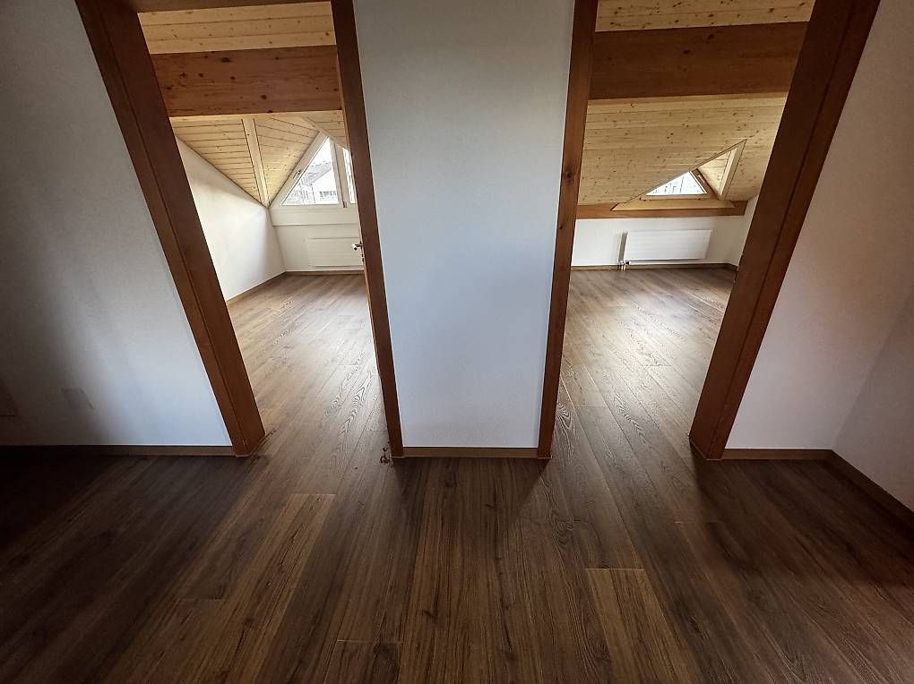 Tutte le decorazioni: Bodenleger – Usato da Recherswil venduto da fat_r7cf 1