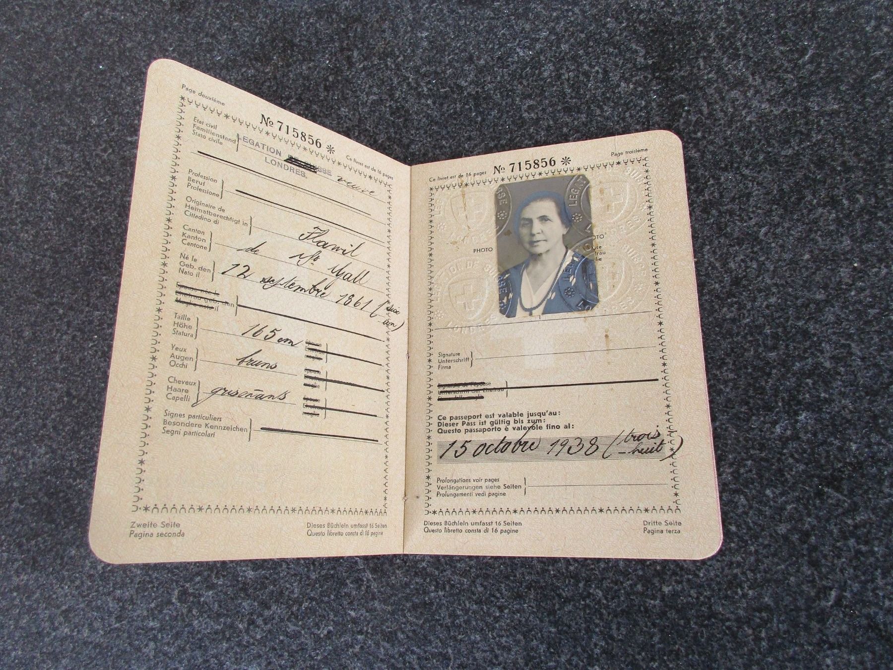 Documenti: Antiker Schweizer Pass – Usato da Frick venduto da  2
