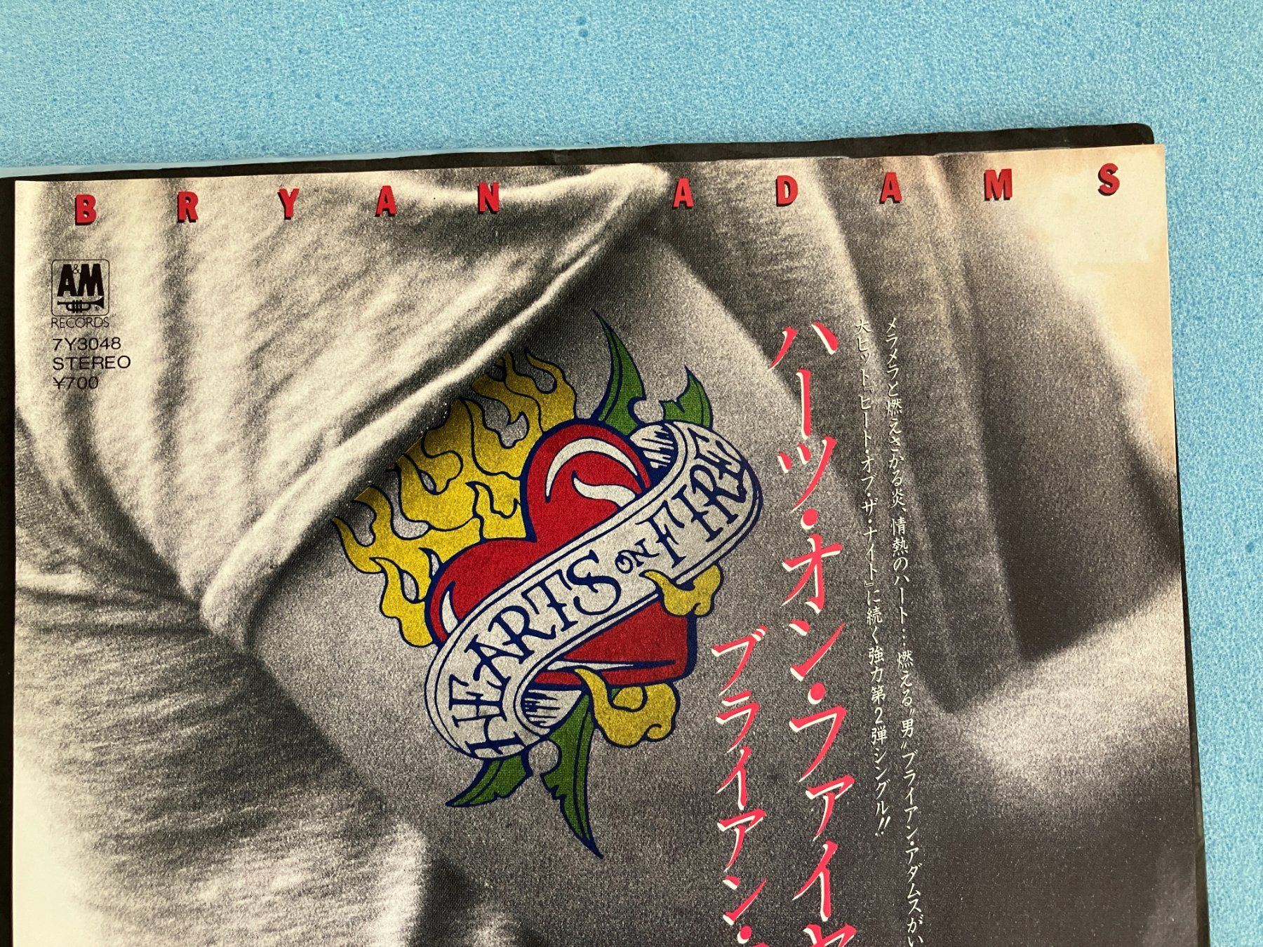Dischi in vinile: Bryan Adams – Usato da Aarwangen venduto da Jukebox3 1