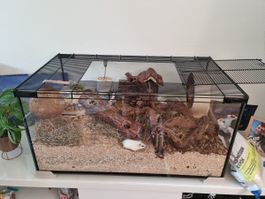Nagergehege Glas mit Gitterabdeckung guter Zustand