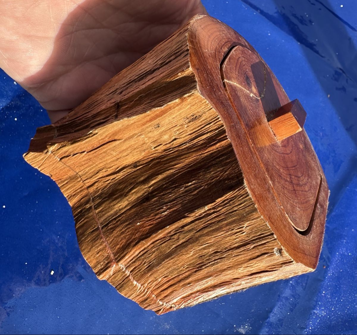 Articoli in legno: Rustikale Holzschatulle - Einzigartiges Unikat aus Holz – Usato da Zürich venduto da c_d_r 6