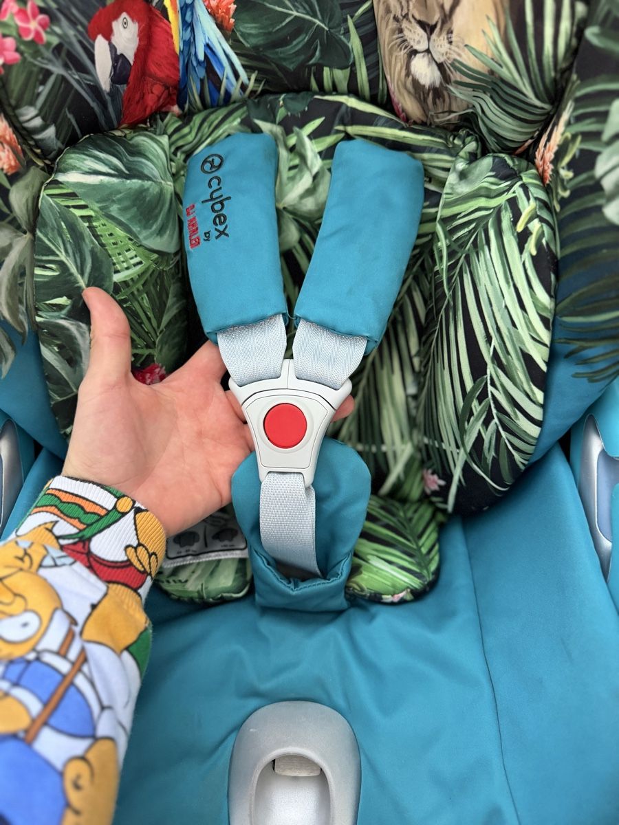 Cybex Kinderwagen: Cybex Priam  – Gebraucht aus Unterentfelden von van_m8g7 8