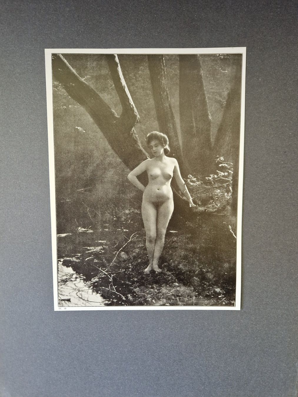 Libri: Akt Jugendstil Eva im Paradis – Usato da Mörschwil venduto da antiksalon21 4